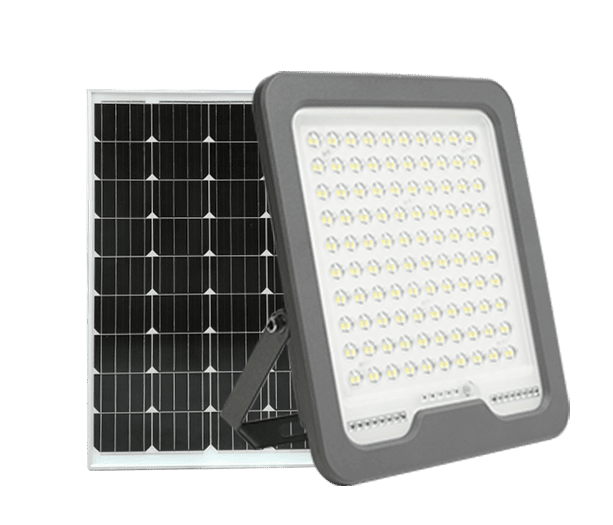 Características del Producto